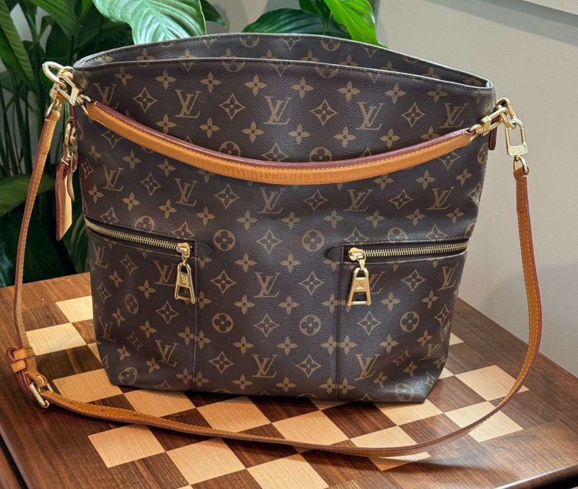Louis Vuitton Monogram Melie Hobo Bag